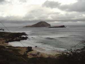 Rabbit Island