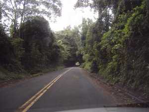 Pali Road