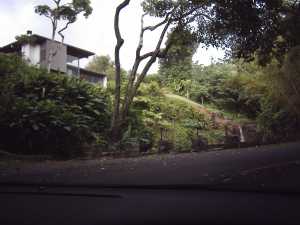 Pali Road House