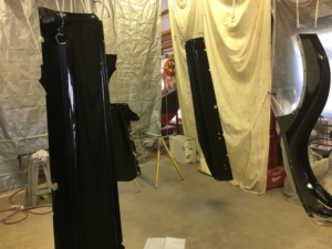 Black backs painted