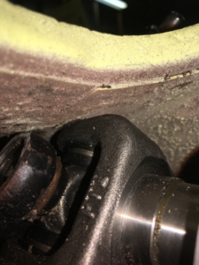 U-Joint